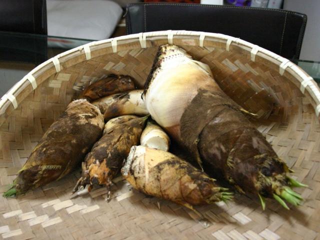 source: upload.wikimedia.org