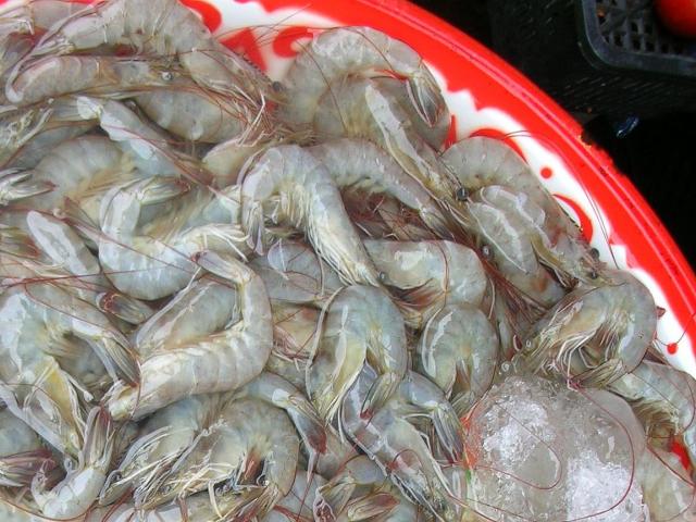 source: upload.wikimedia.org
