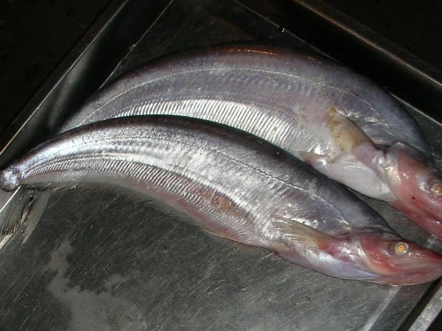 source: upload.wikimedia.org