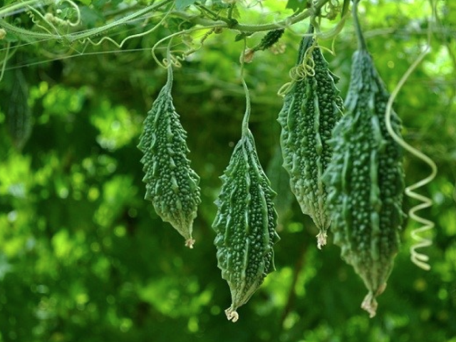 source: cg.lnwfile.com