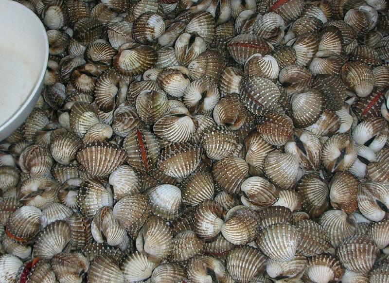 source: upload.wikimedia.org