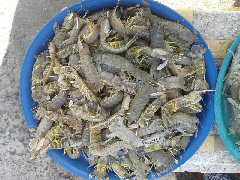 source: upload.wikimedia.org