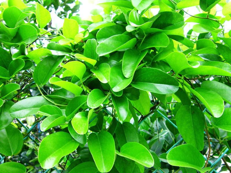 source: upload.wikimedia.org source: upload.wikimedia.org