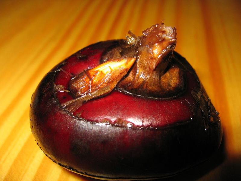 source: upload.wikimedia.org source: upload.wikimedia.org