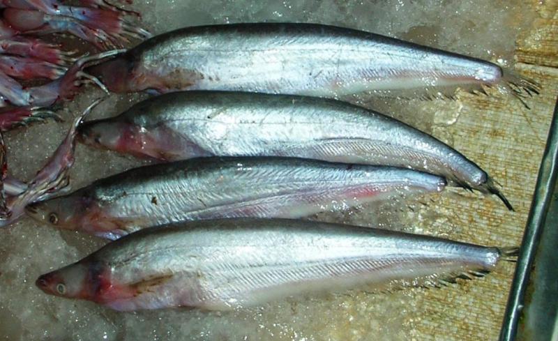 source: upload.wikimedia.org source: upload.wikimedia.org