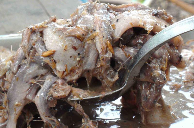 source: www.thailovehealth.com source: www.thailovehealth.com